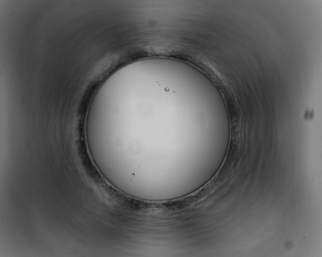 X0000101390738200807071004