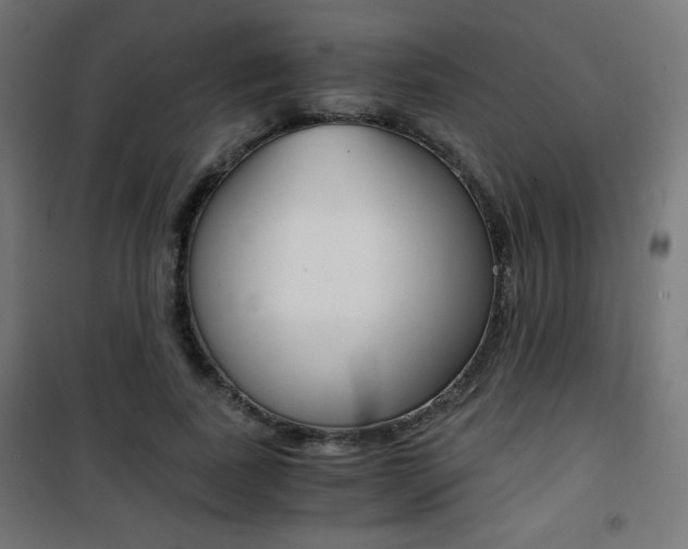 X0000101390739200807071004