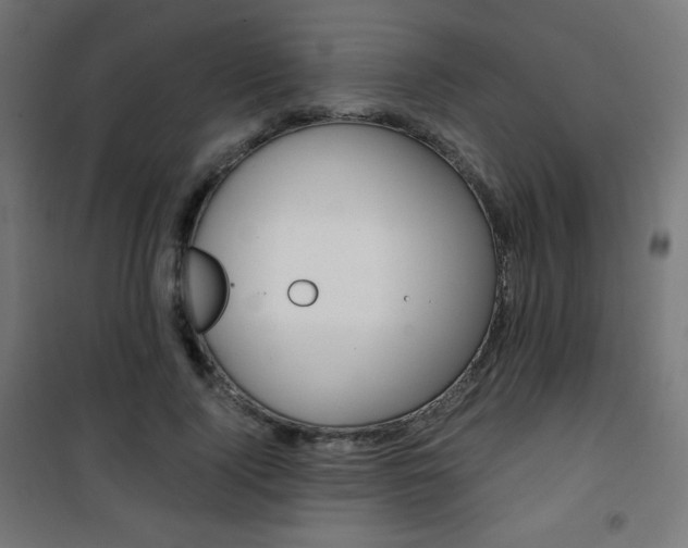 X0000101390740200807071004