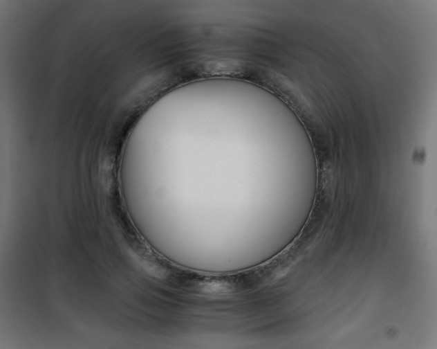 X0000101390741200807071004