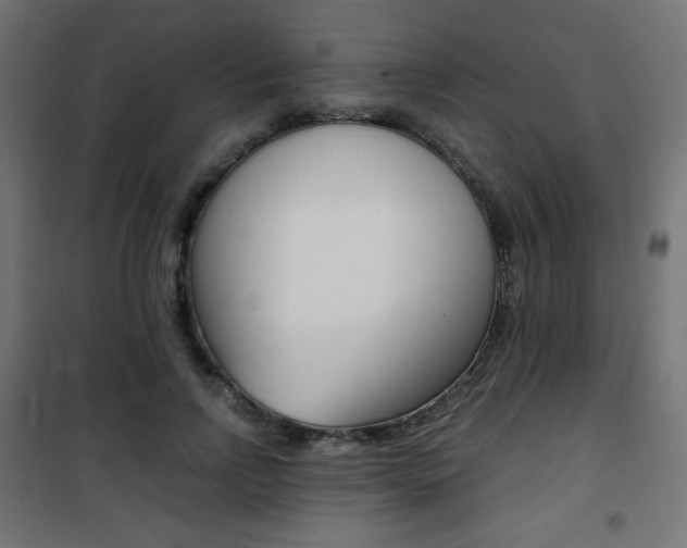 X0000101390742200807071004