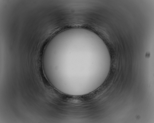 X0000101390743200807071004
