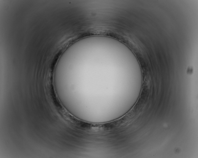 X0000101390744200807071004