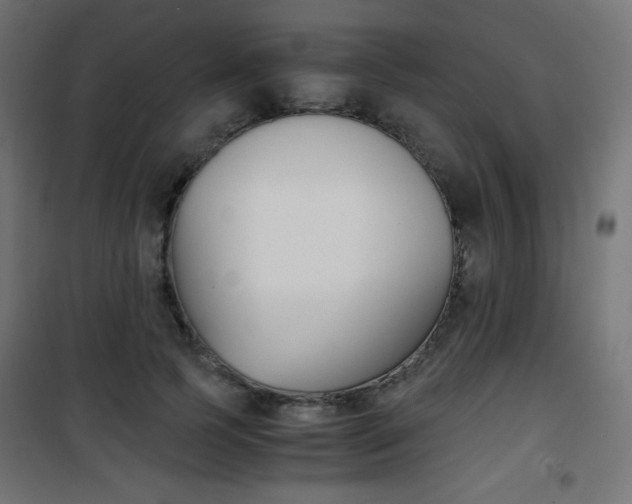 X0000101390745200807071004