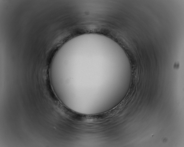 X0000101390746200807071004