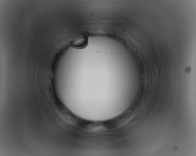 X0000101390747200807071004