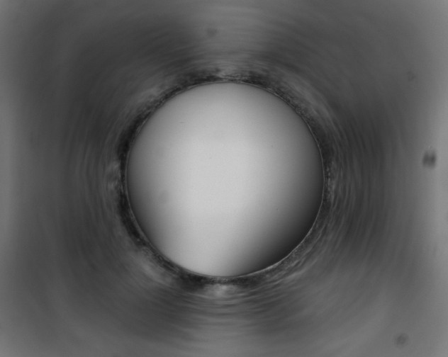 X0000101390748200807071004