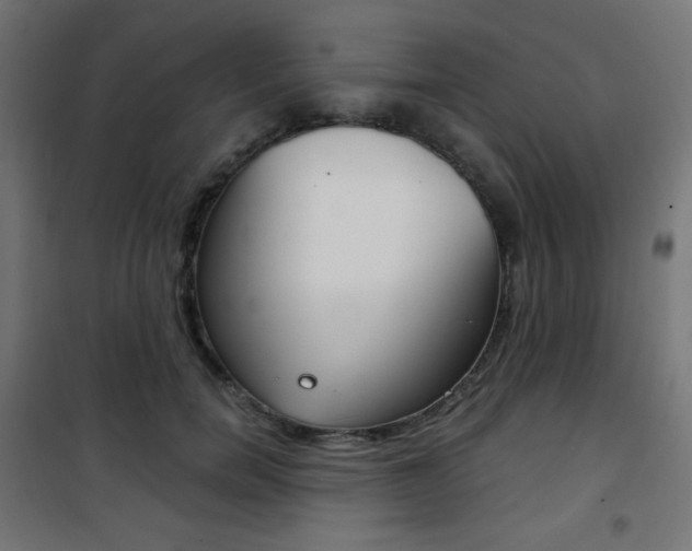 X0000101390750200807071005