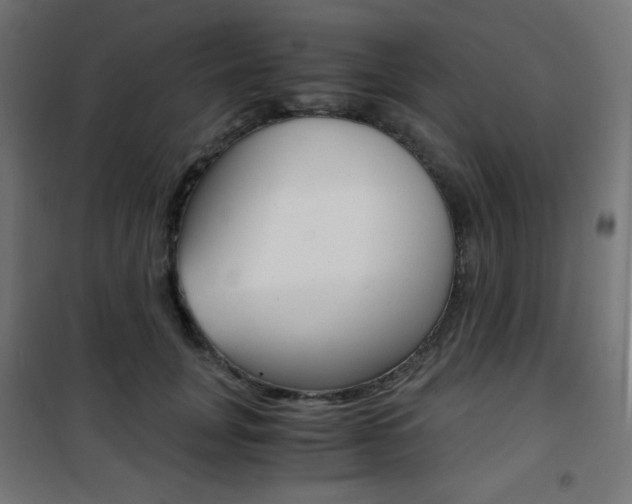 X0000101390751200807071005