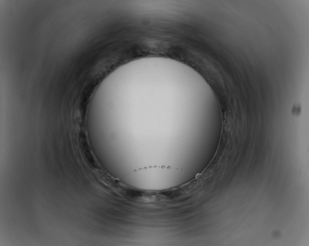 X0000101390752200807071005