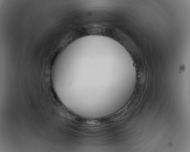 X0000101390753200807071005
