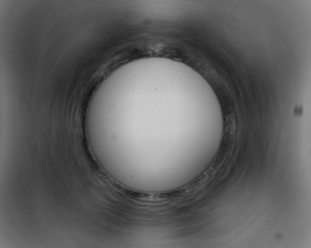 X0000101390754200807071005