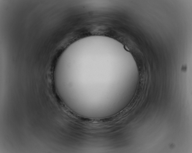 X0000101390755200807071005