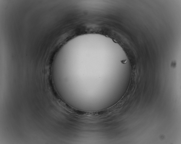 X0000101390756200807071005