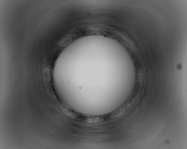 X0000101390757200807071005