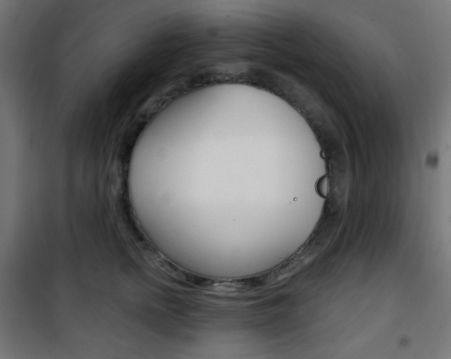X0000101390758200807071005