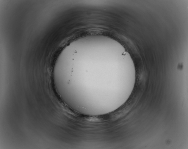 X0000101390759200807071005