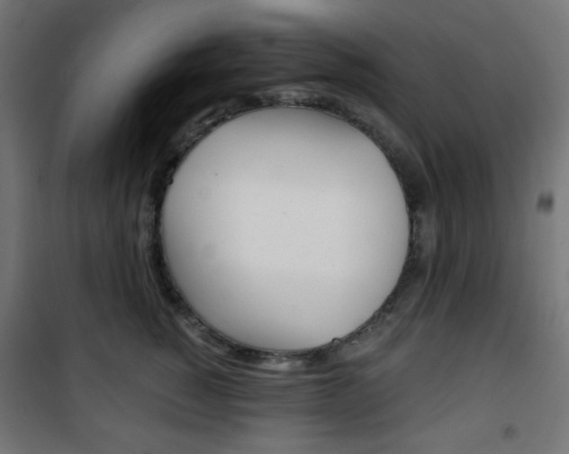 X0000101390760200807071005
