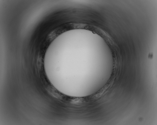 X0000101390761200807071005