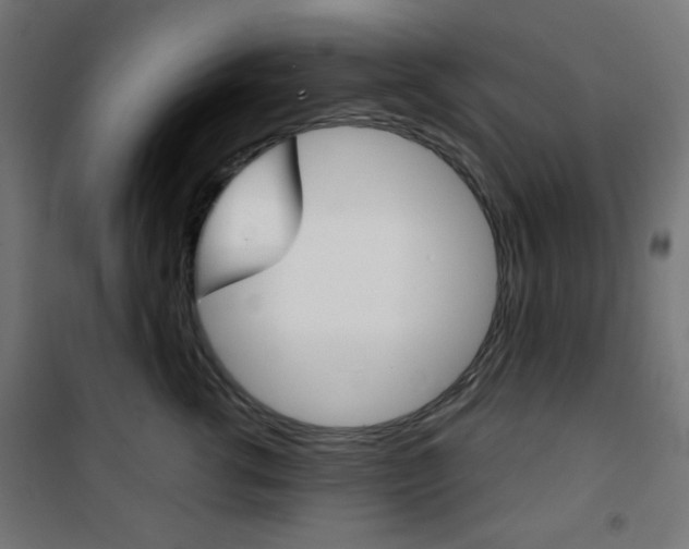 X0000101390762200807071005