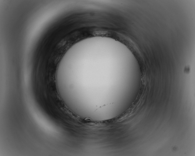 X0000101390763200807071005