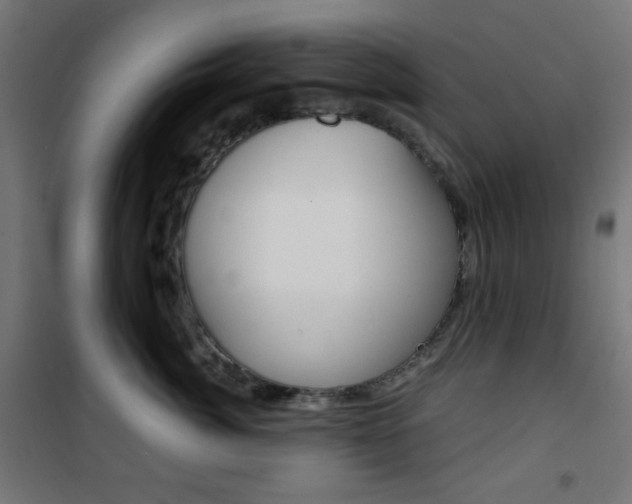 X0000101390764200807071005