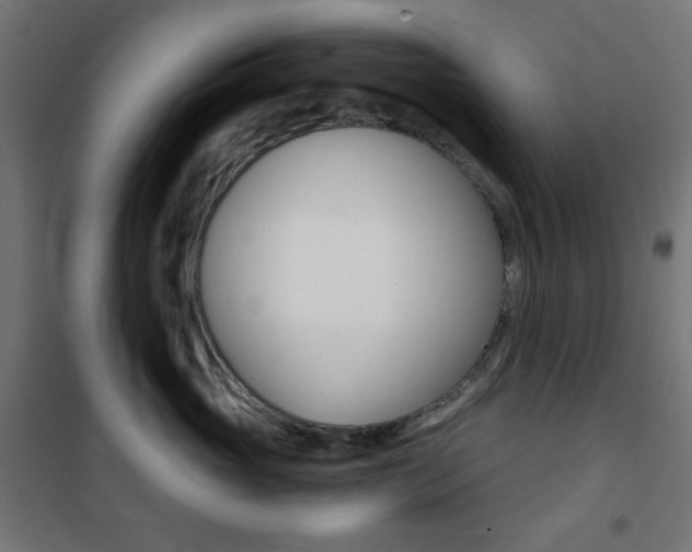 X0000101390765200807071005