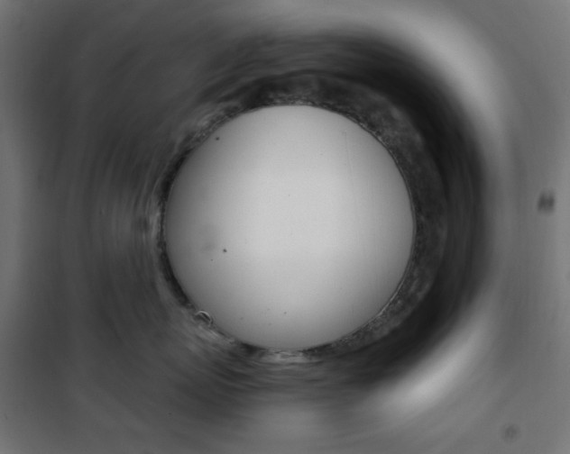 X0000101390767200807071005