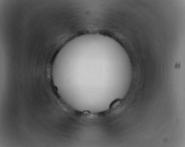 X0000101390768200807071005