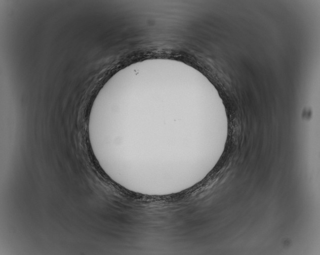 X0000101390769200807071004