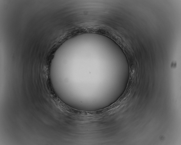 X0000101390772200807071004