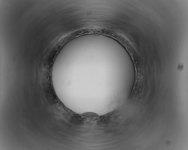 X0000101390773200807071004