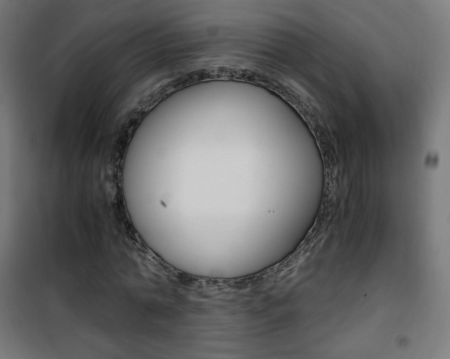 X0000101390774200807071004