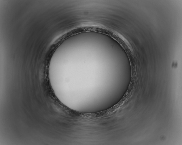 X0000101390775200807071004