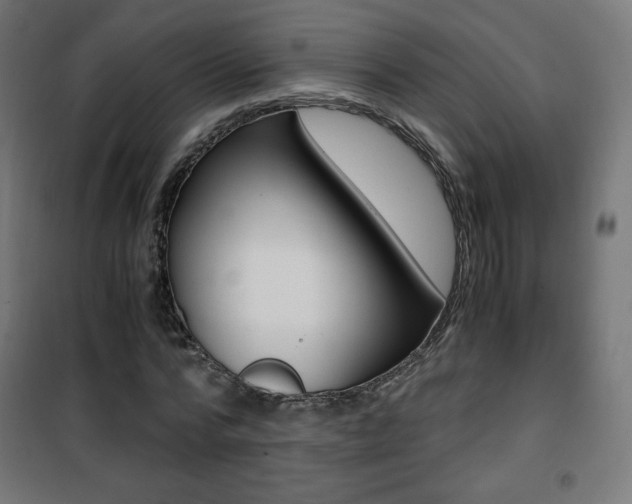 X0000101390776200807071004