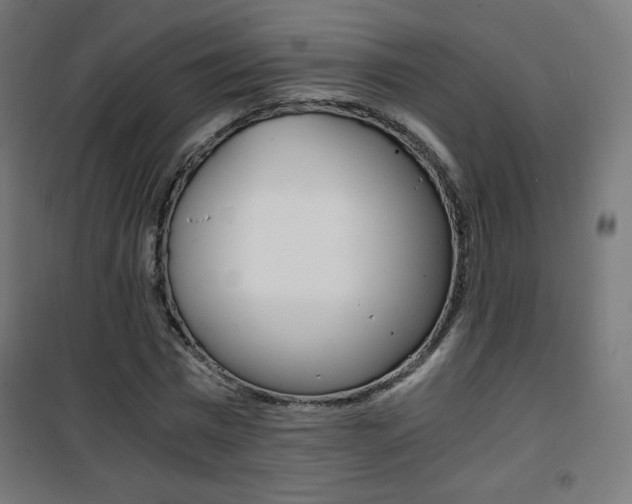X0000101390777200807071004