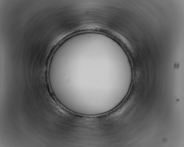 X0000101390778200807071004