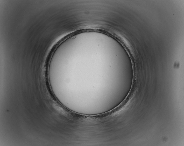 X0000101390779200807071004