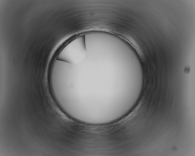 X0000101390780200807071004