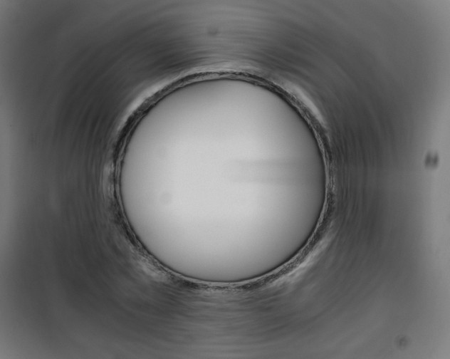 X0000101390781200807071004