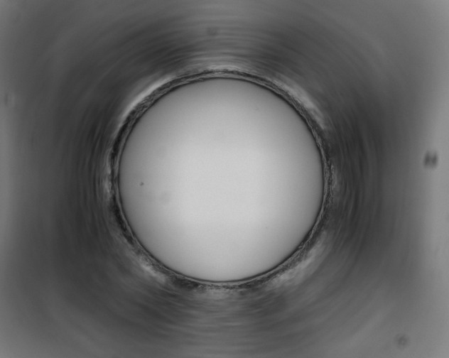 X0000101390782200807071004