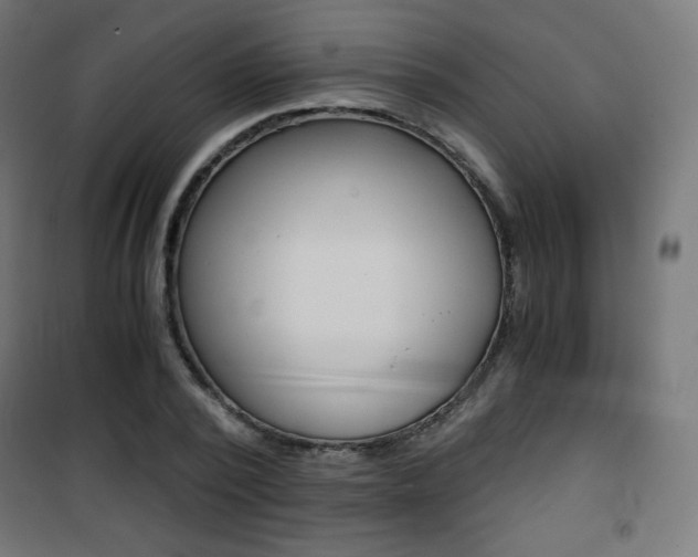 X0000101390784200807071004