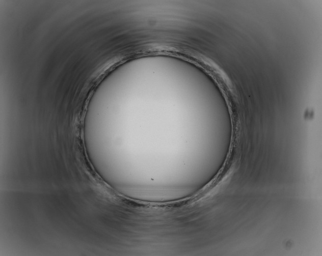 X0000101390785200807071004