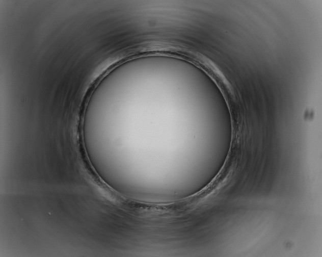 X0000101390786200807071004