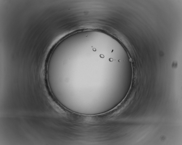 X0000101390787200807071004
