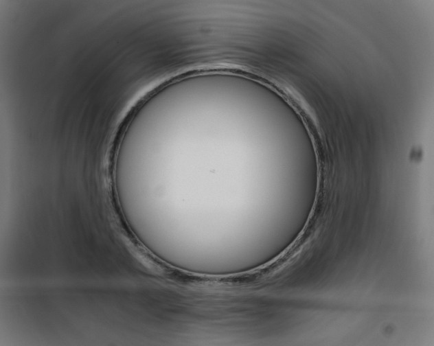 X0000101390789200807071004