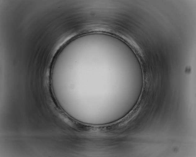 X0000101390790200807071004