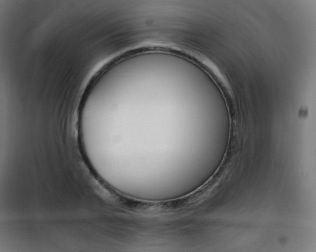 X0000101390791200807071004