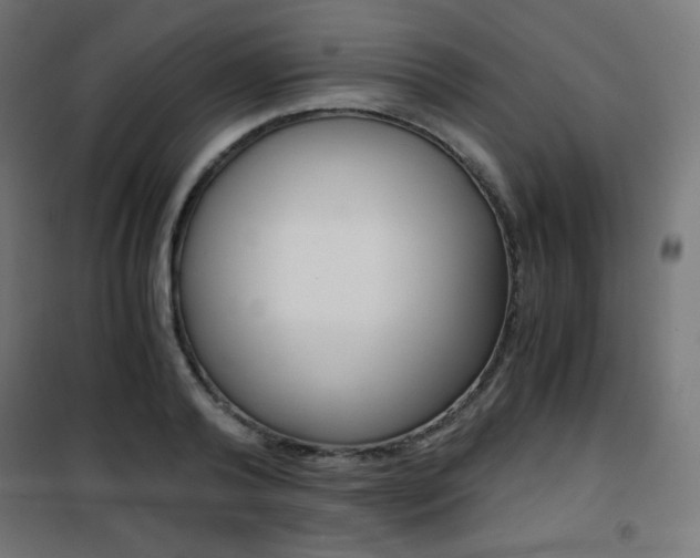 X0000101390792200807071004