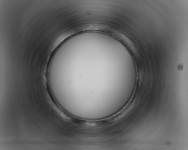 X0000101390794200807071004